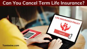 Can You Cancel Term Life Insurance?