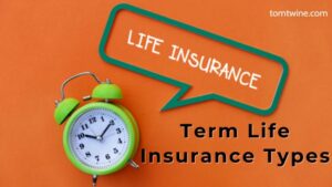 Term Life Insurance Types